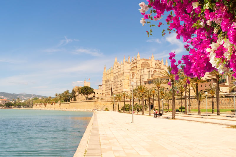 palma